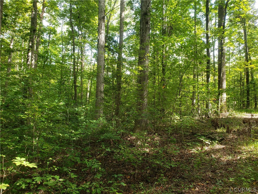 3897 Riddles Bridge Road Goochland, VA 23063 - Photo 13 of 13 Gallery Image 13
