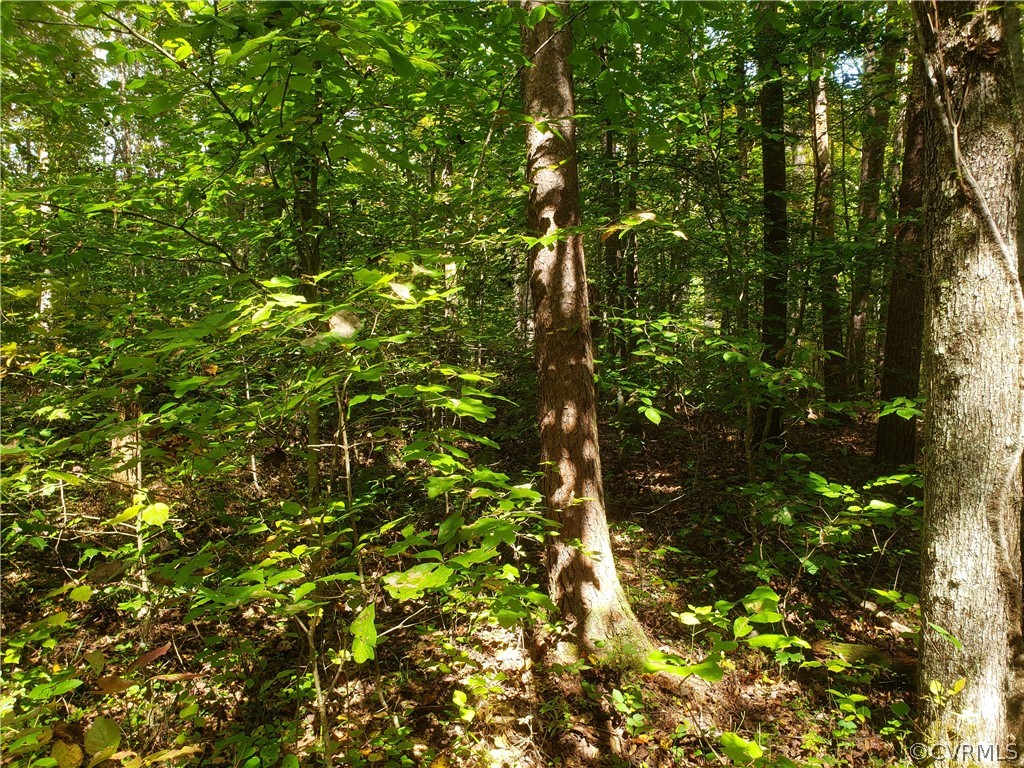 3897 Riddles Bridge Road Goochland, VA 23063 - Photo 4 of 13 Gallery Image 4