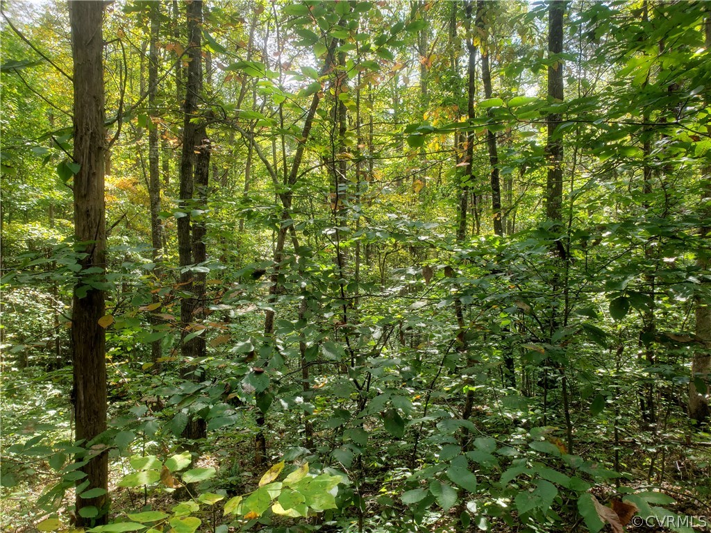 3897 Riddles Bridge Road Goochland, VA 23063 - Photo 8 of 13 Gallery Image 8