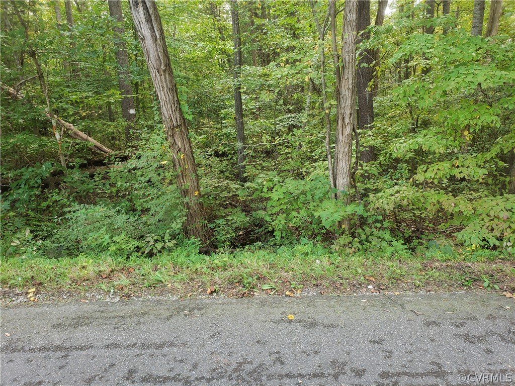 3897 Riddles Bridge Road Goochland, VA 23063 - Photo 10 of 13 Gallery Image 10
