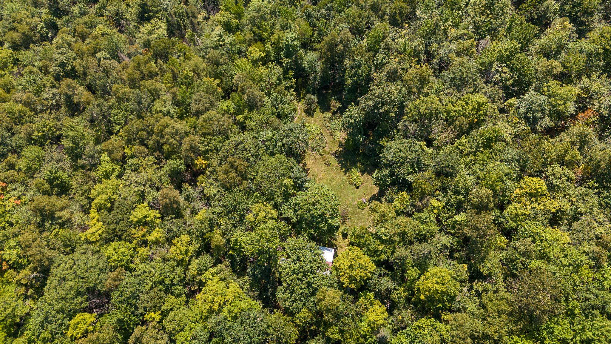 507 Mountain Road Abbot, ME 04406 - Photo 34 of 96 DJI_20240827115506_0666_D