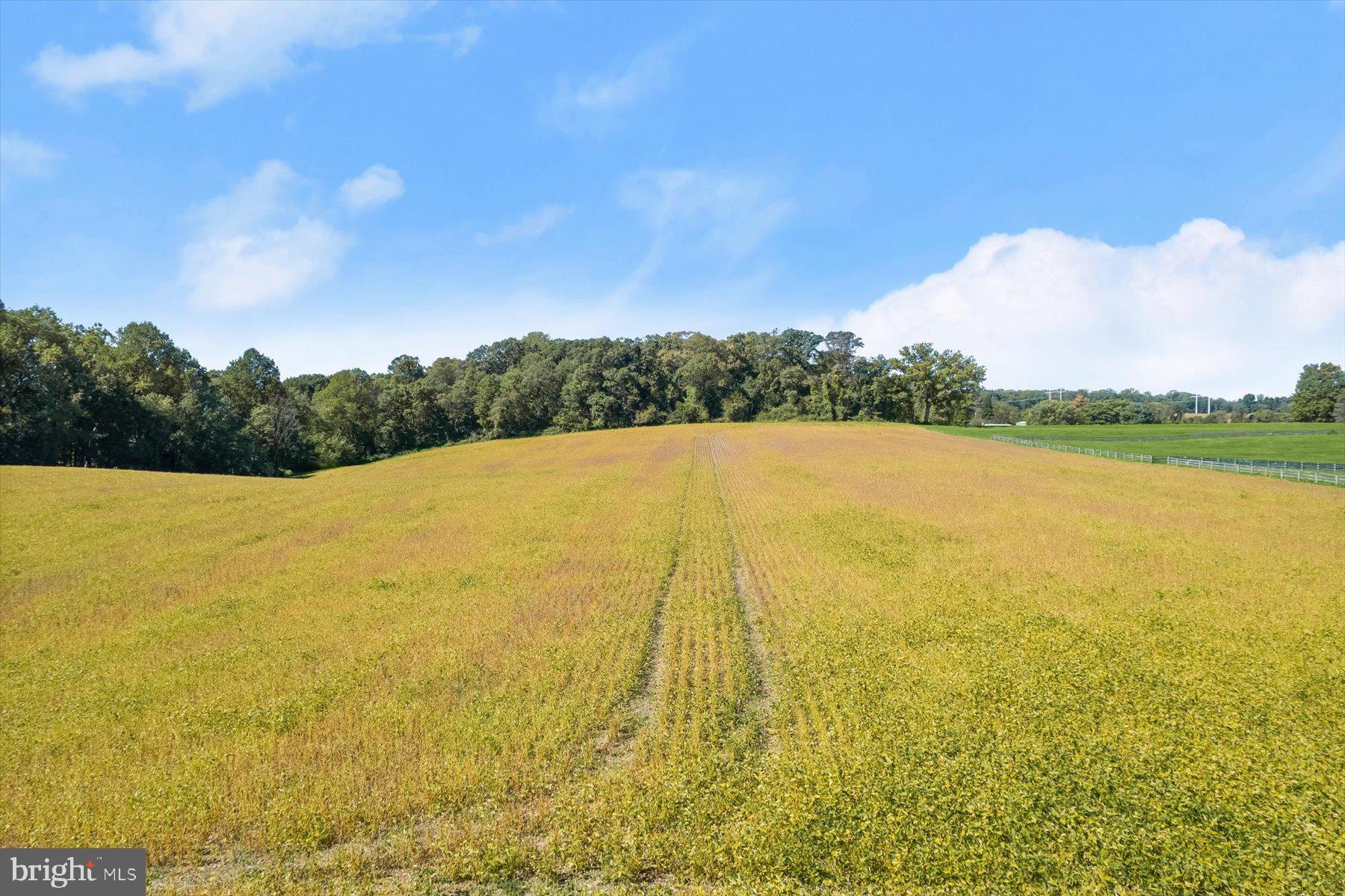 Annapolis Rock Road Woodbine, MD 21797 - Photo 17 of 22 Ground View