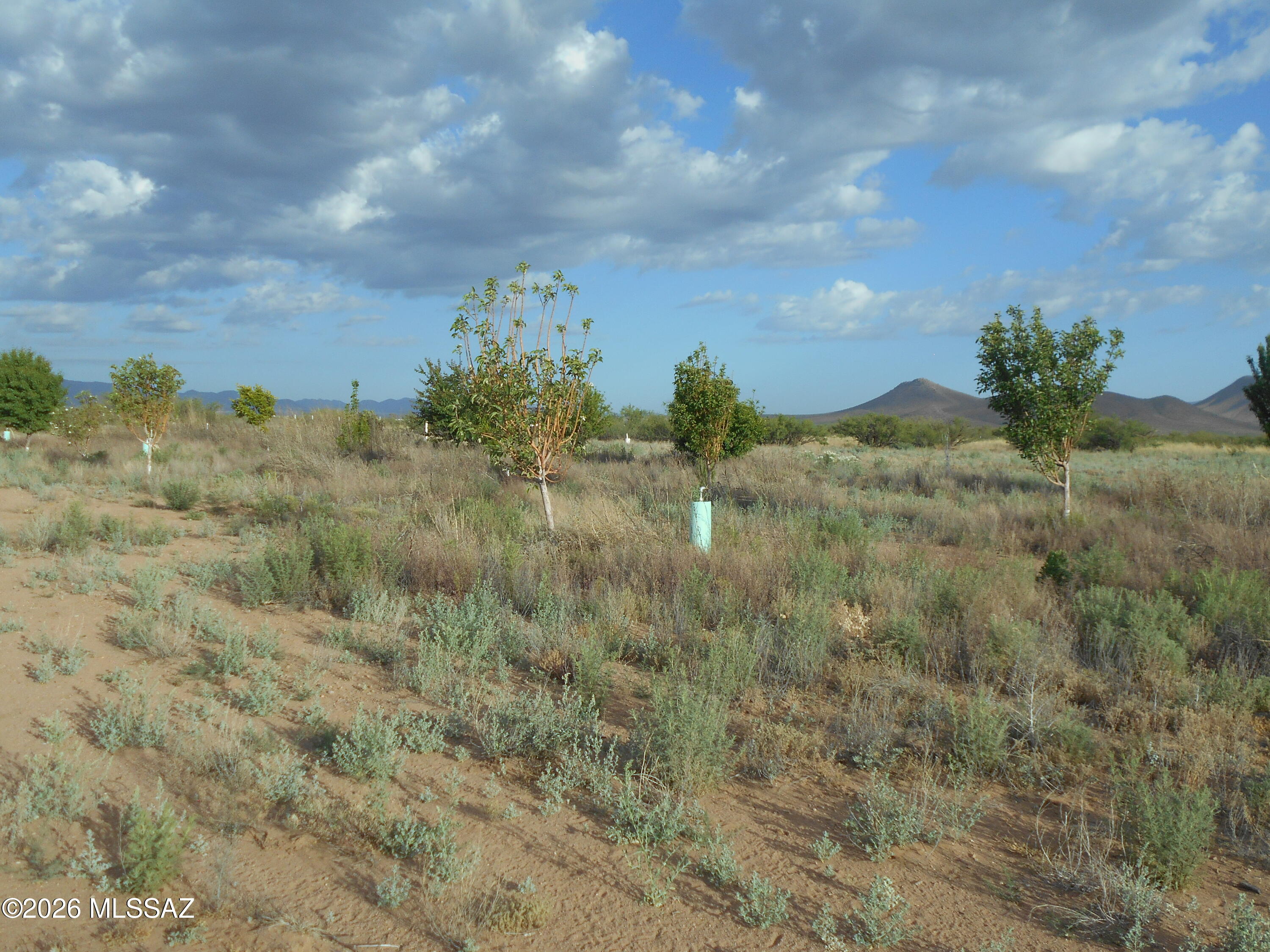 13684 South Tyree Road, Unit 70 Pearce, AZ 85625 - Photo 14 of 37