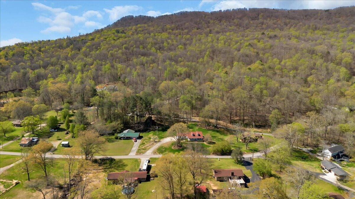 369 Sweetens Cove Road South Pittsburg, TN 37380 - Photo 69 of 73 78-DJI_0168