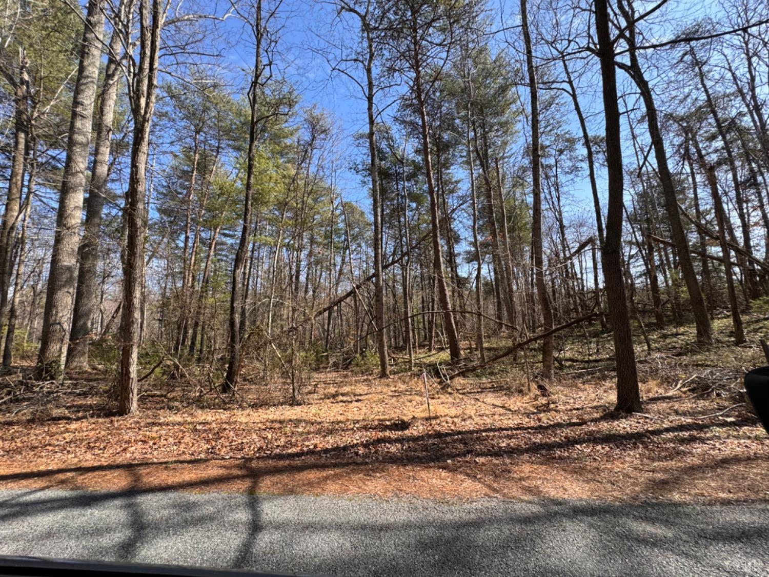 a view of a backyard of a house