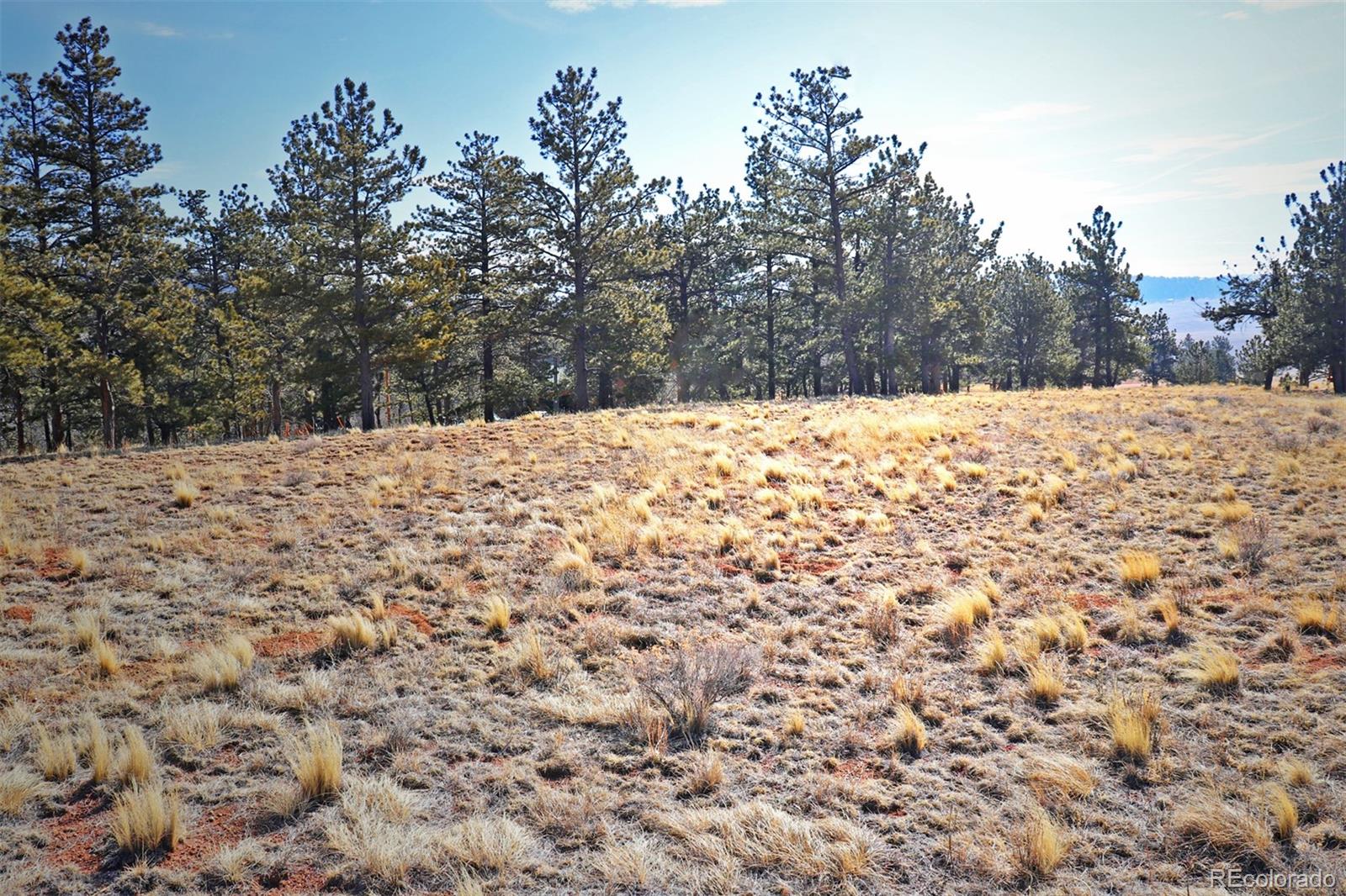 414 Wagon Wheel Road Hartsel, CO 80449 - Photo 1 of 15 Gallery Image 1