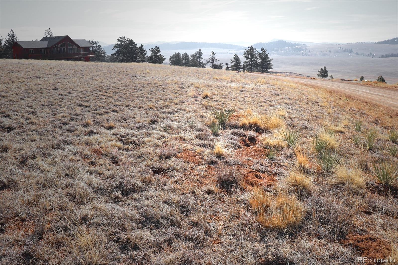 414 Wagon Wheel Road Hartsel, CO 80449 - Photo 11 of 15 Gallery Image 11