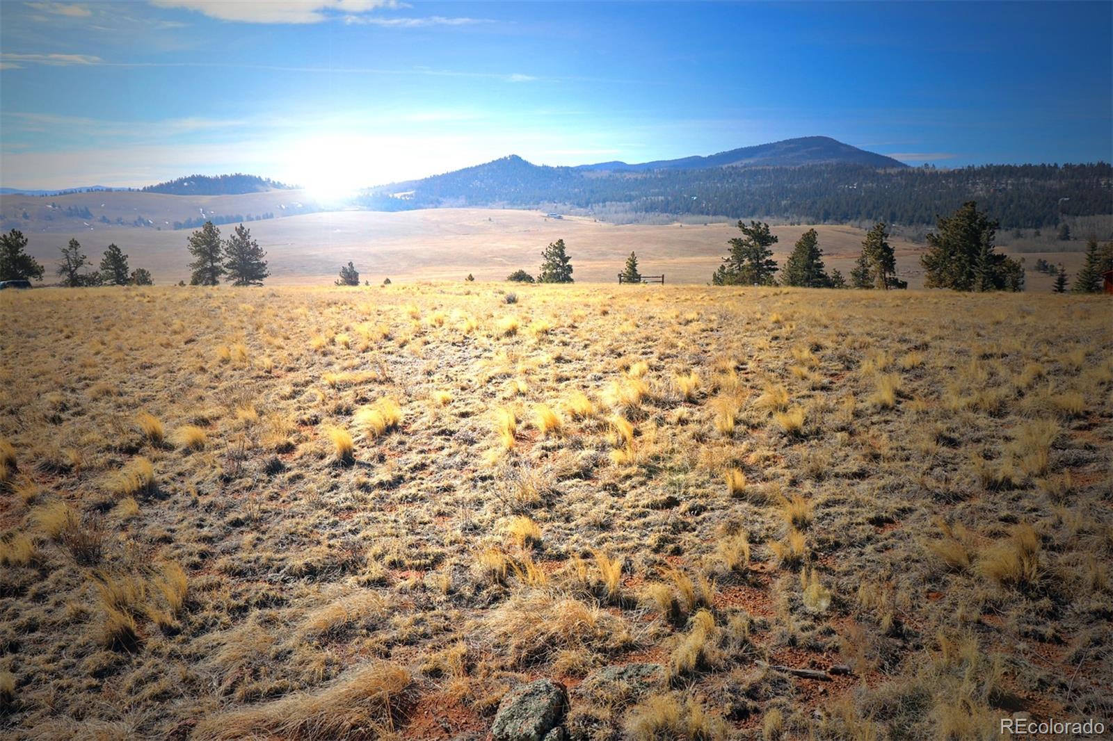 414 Wagon Wheel Road Hartsel, CO 80449 - Photo 14 of 15 Gallery Image 14