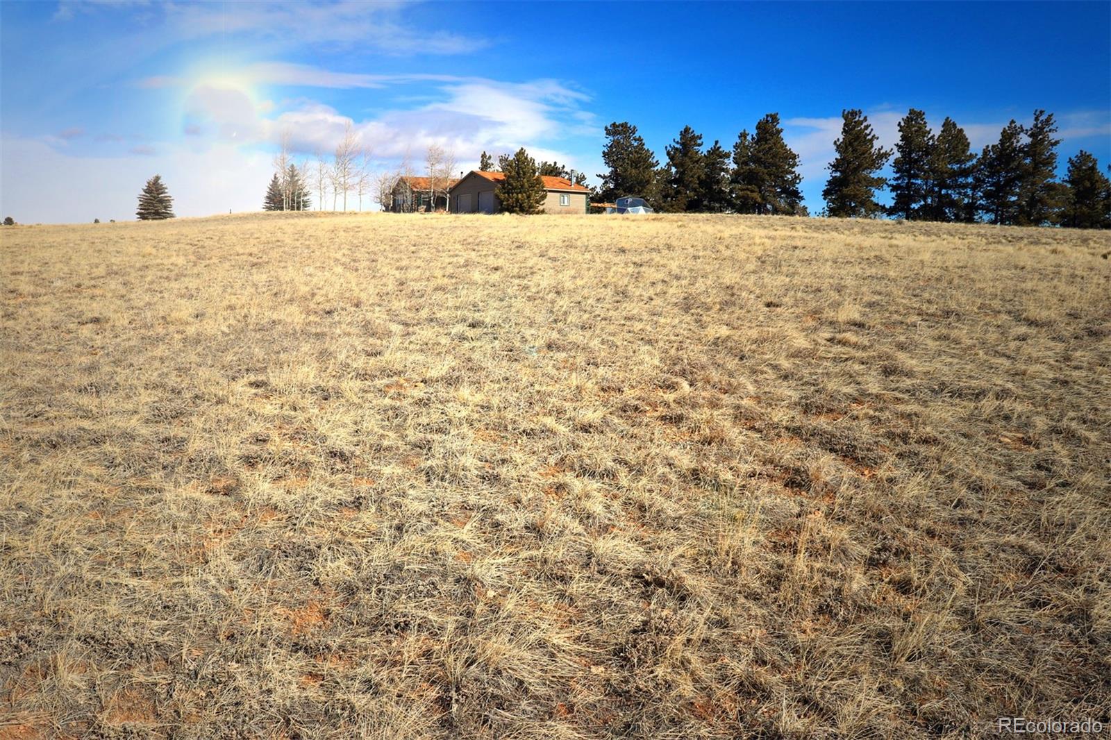 414 Wagon Wheel Road Hartsel, CO 80449 - Photo 5 of 15 Gallery Image 5