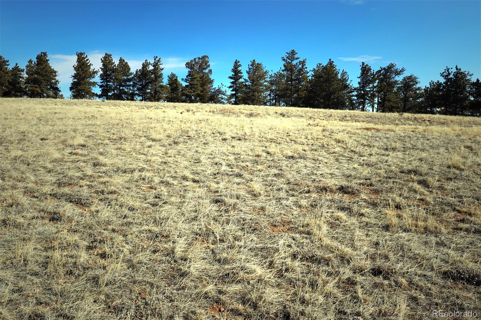 414 Wagon Wheel Road Hartsel, CO 80449 - Photo 6 of 15 Gallery Image 6