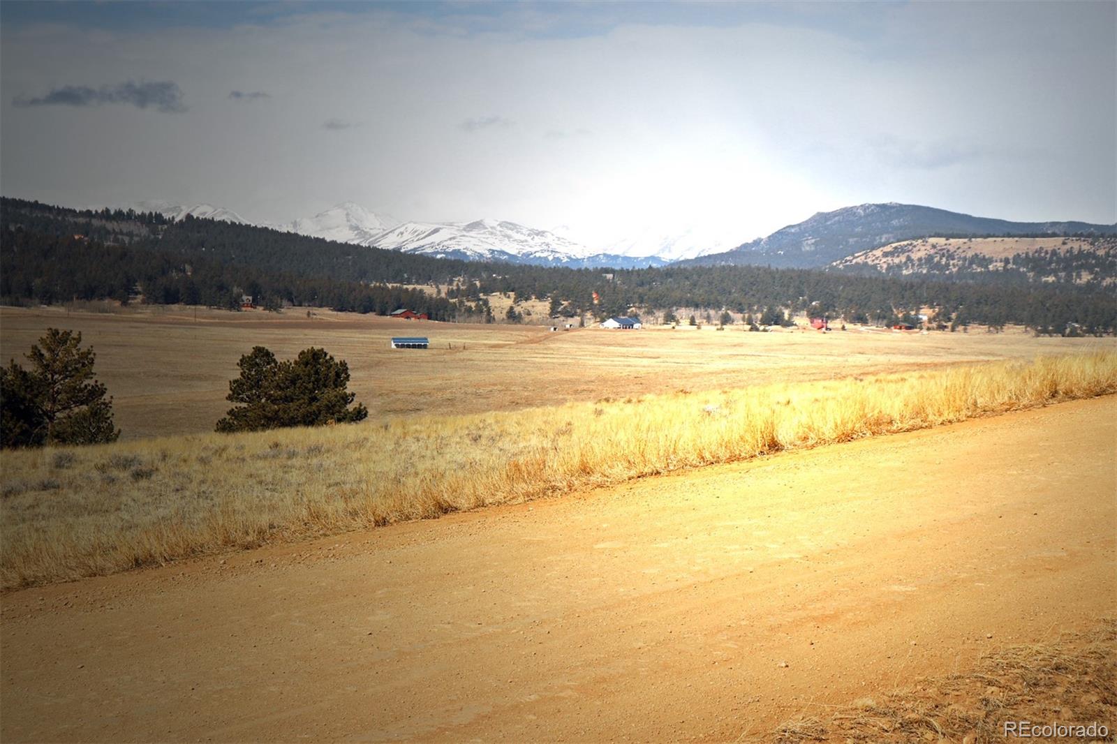 414 Wagon Wheel Road Hartsel, CO 80449 - Photo 7 of 15 Gallery Image 7