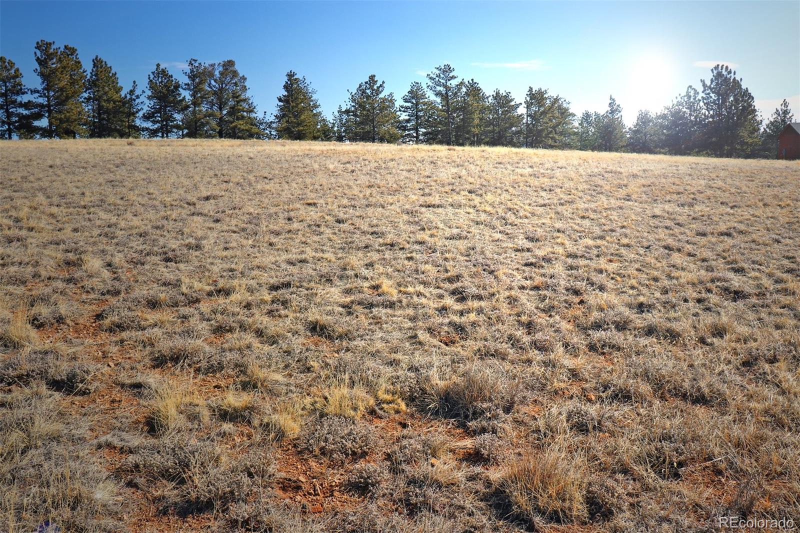 414 Wagon Wheel Road Hartsel, CO 80449 - Photo 8 of 15 Gallery Image 8
