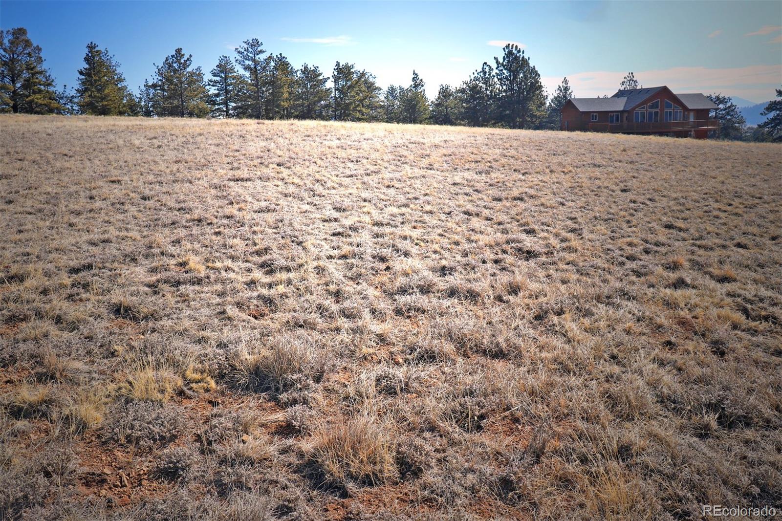 414 Wagon Wheel Road Hartsel, CO 80449 - Photo 9 of 15 Gallery Image 9