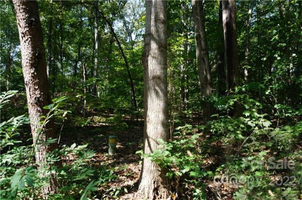 3829 Mill Run Terrell, NC 28682 - Photo 2 of 4 Gallery Image 2