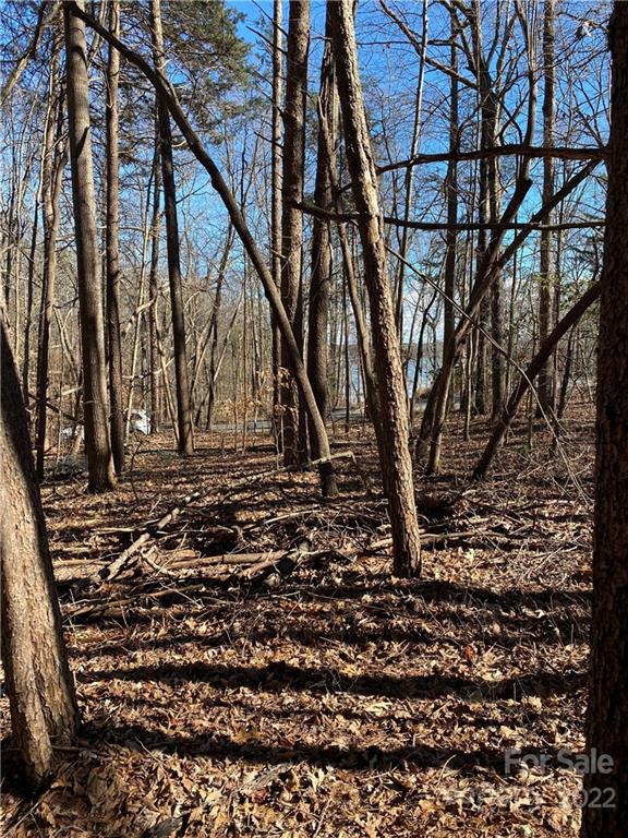 3829 Mill Run Terrell, NC 28682 - Photo 3 of 4 Gallery Image 3