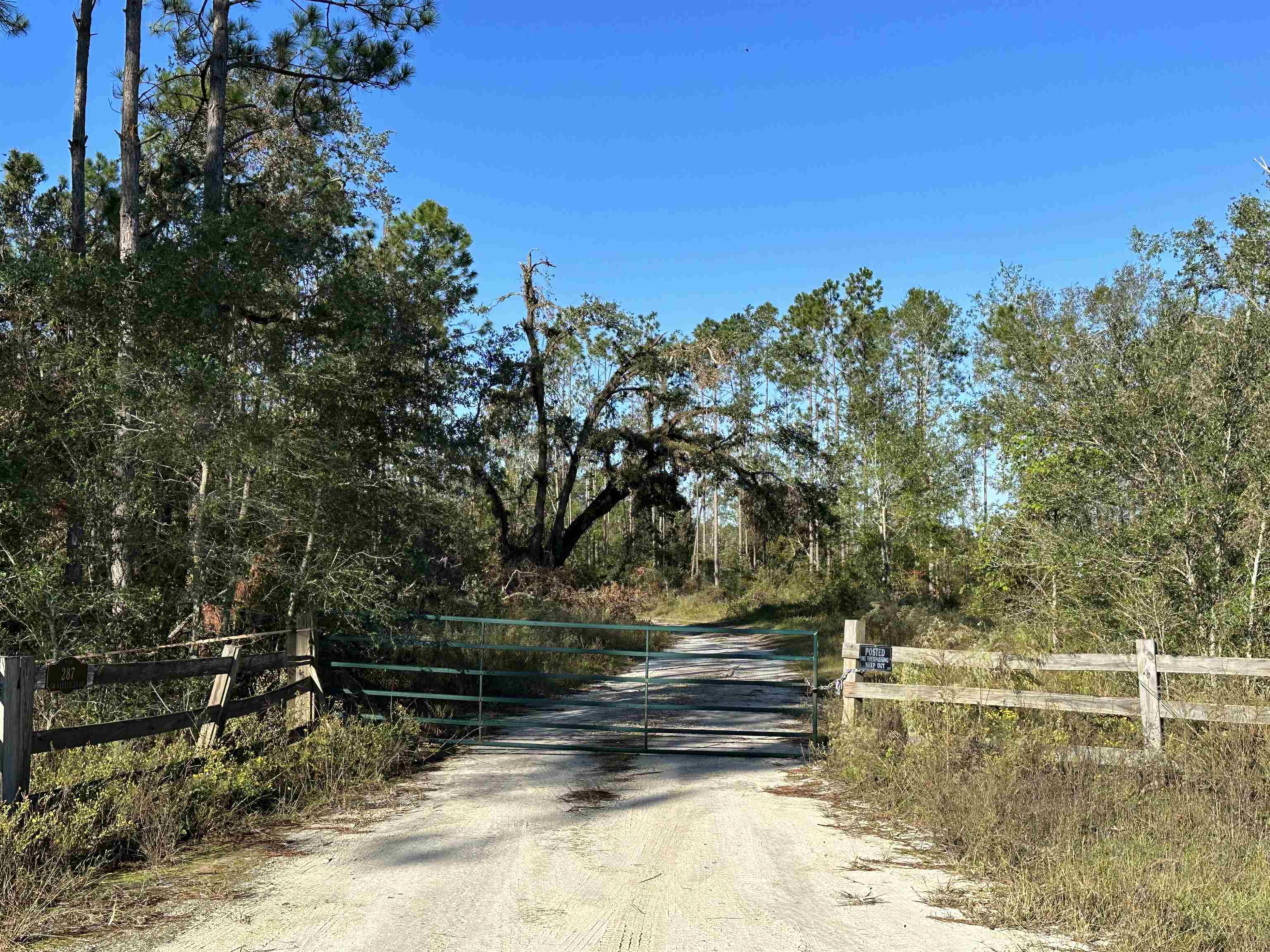 771 Southwest Kelly 28 Road Lee, FL 32059 - Photo 18 of 32 Gallery Image 18