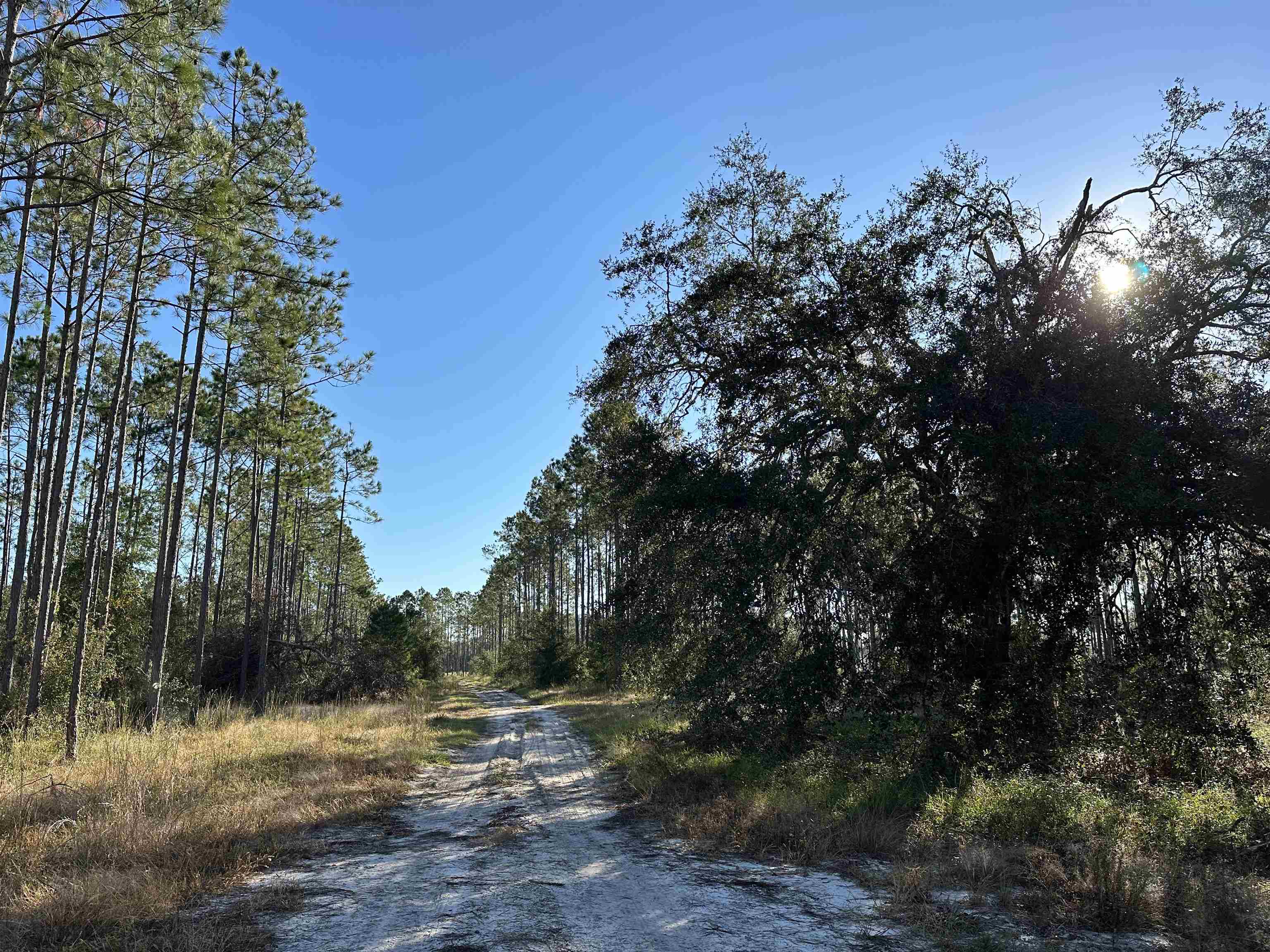 771 Southwest Kelly 28 Road Lee, FL 32059 - Photo 19 of 32 Gallery Image 19
