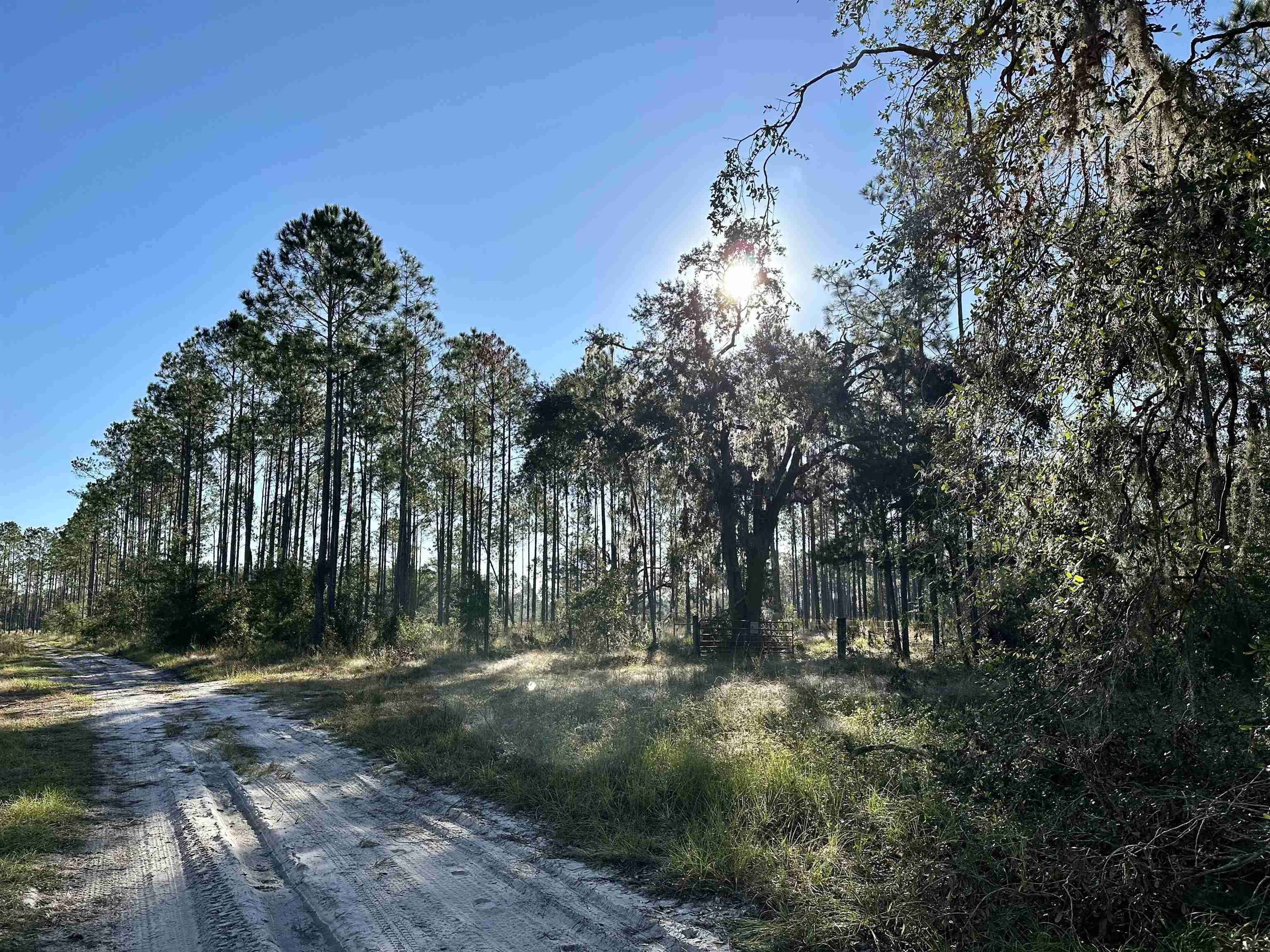 771 Southwest Kelly 28 Road Lee, FL 32059 - Photo 20 of 32 Gallery Image 20