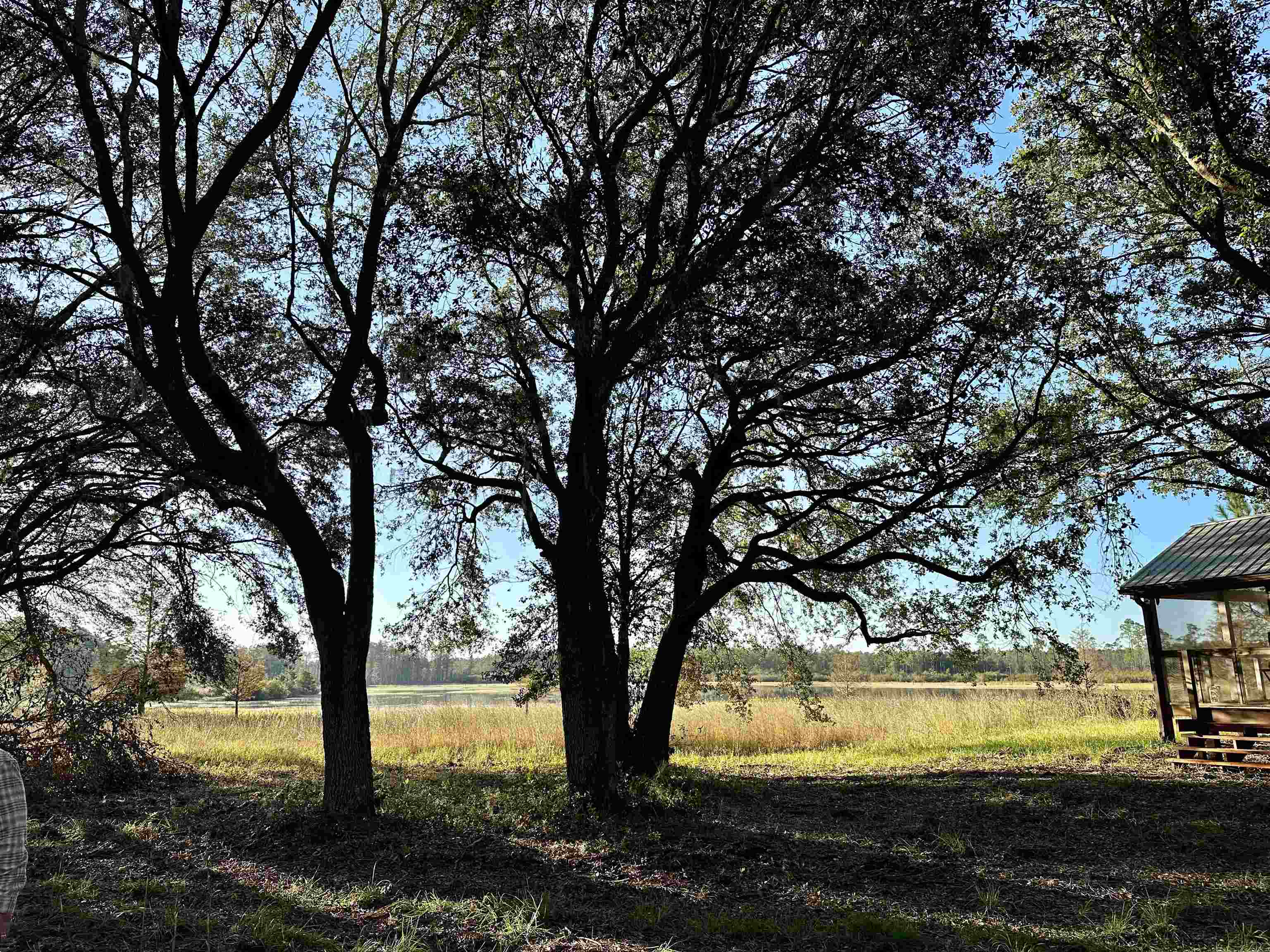 771 Southwest Kelly 28 Road Lee, FL 32059 - Photo 23 of 32 Gallery Image 23