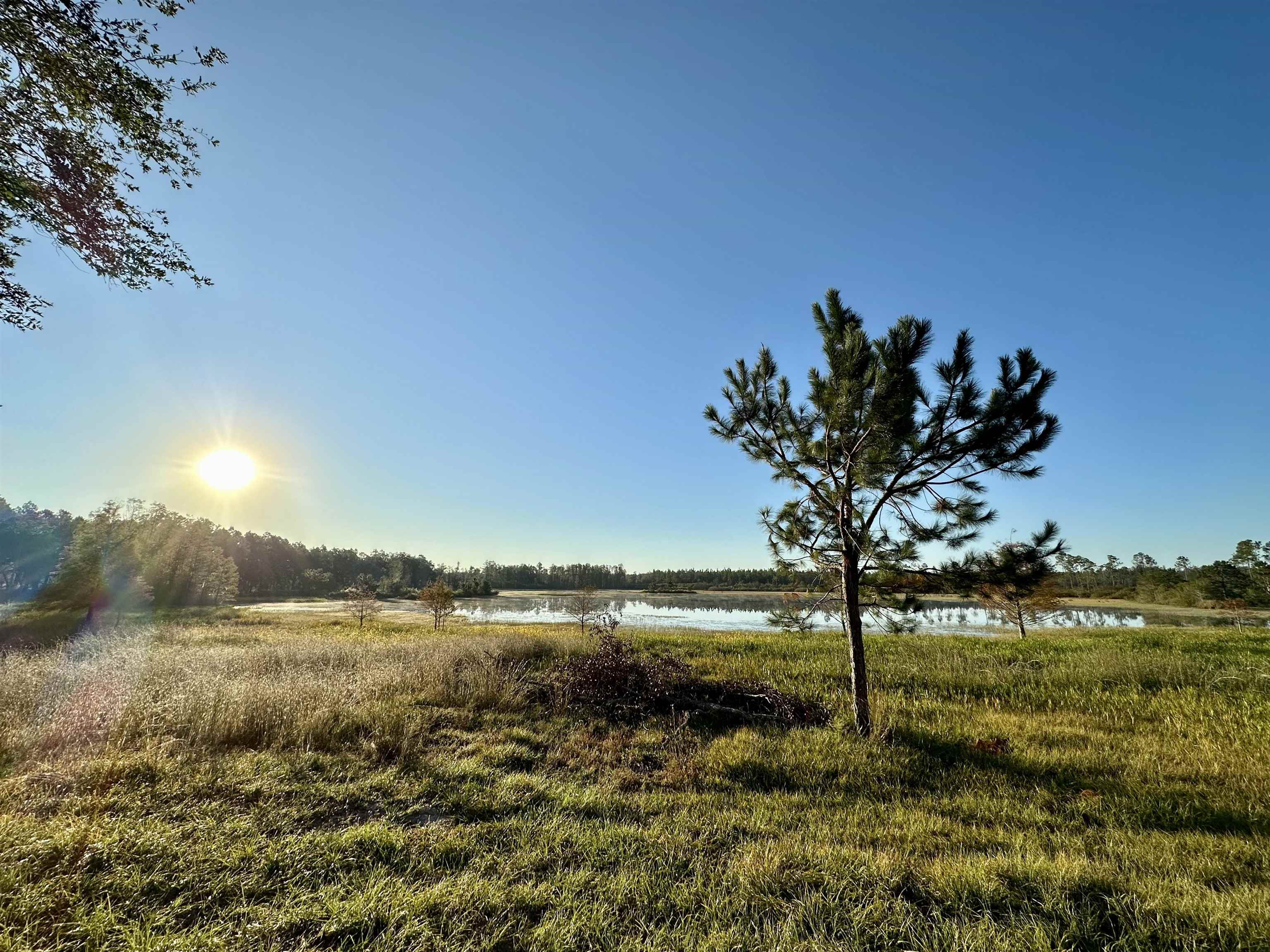 771 Southwest Kelly 28 Road Lee, FL 32059 - Photo 25 of 32 Gallery Image 25