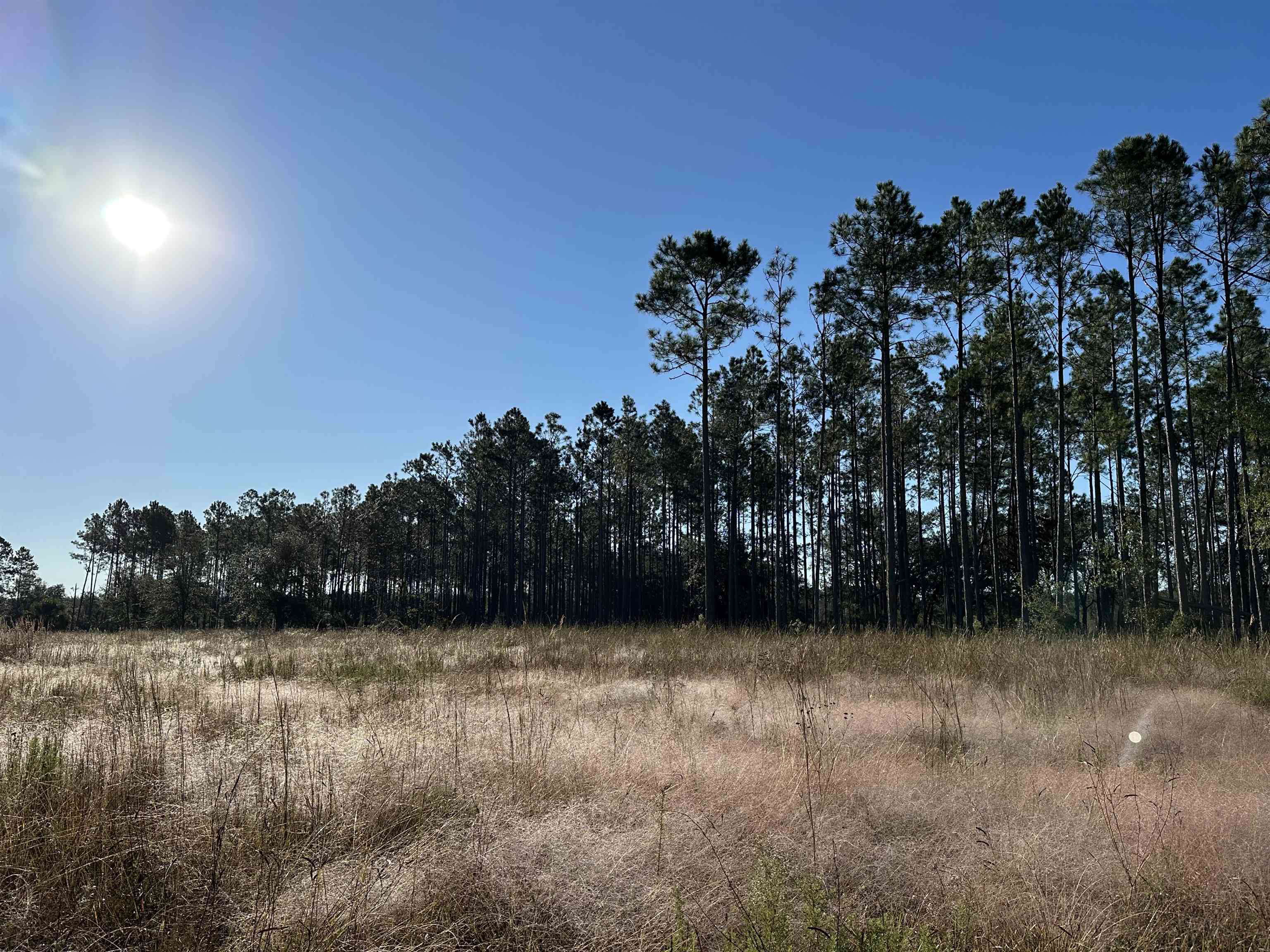 771 Southwest Kelly 28 Road Lee, FL 32059 - Photo 26 of 32 Gallery Image 26