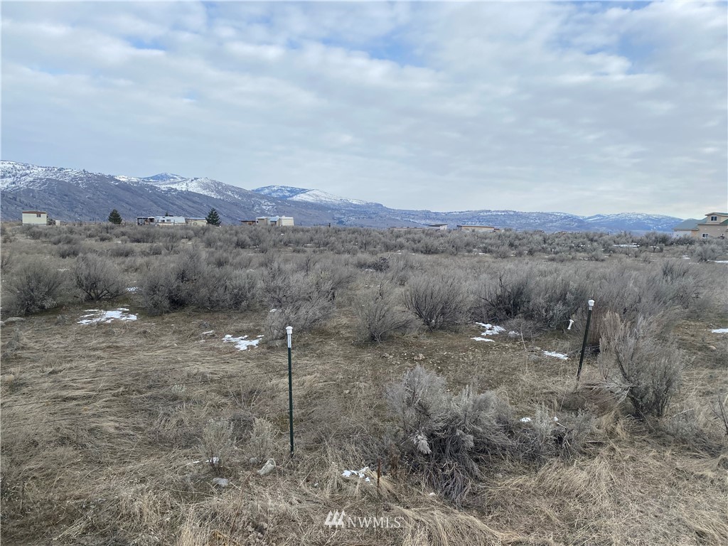 138-tbd Greenacres Road Riverside, WA 98849 - Photo 1 of 3