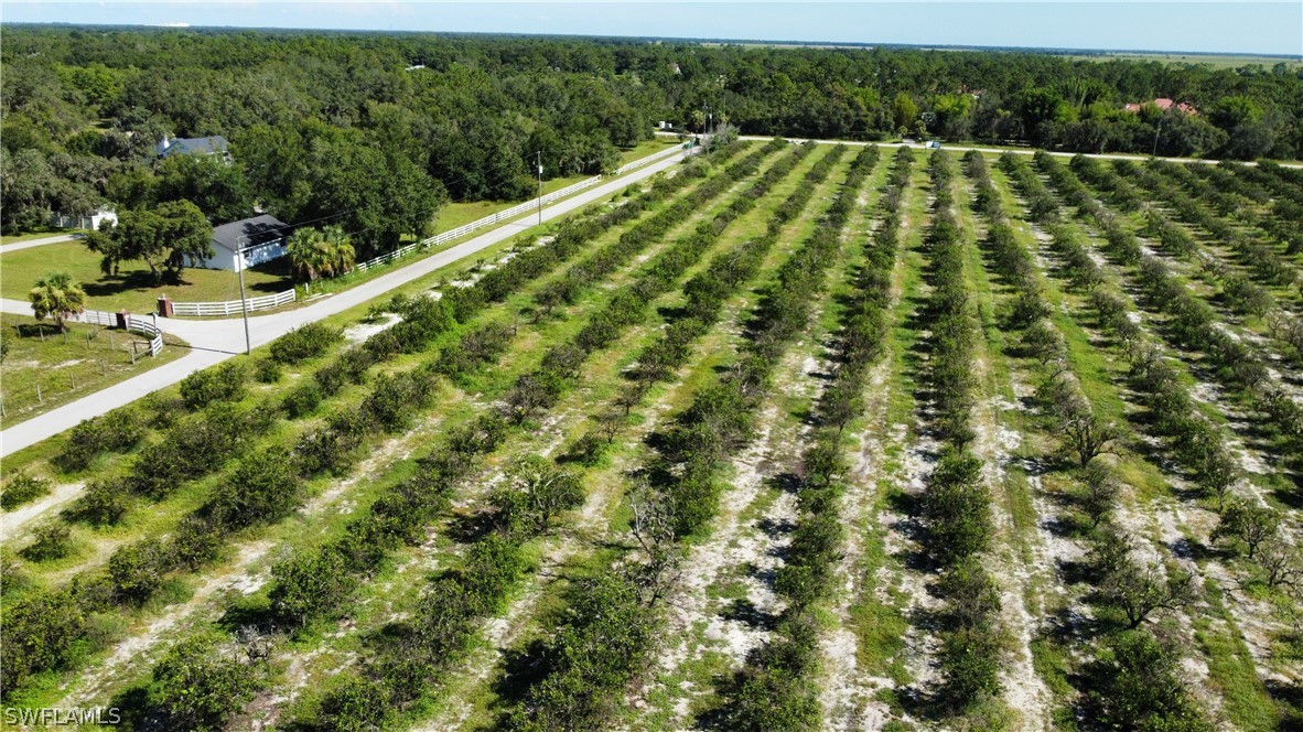 32931 Washington Loop Road Punta Gorda, FL 33982 - Photo 4 of 9 a view of a green field with lots of trees