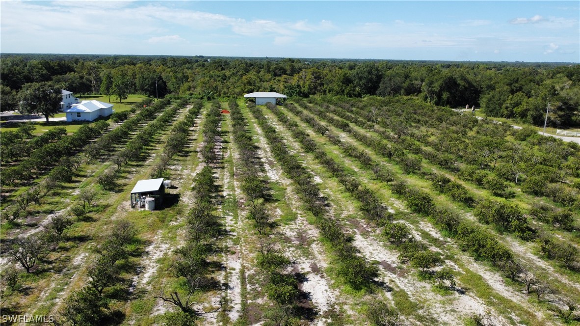 32931 Washington Loop Road Punta Gorda, FL 33982 - Photo 5 of 9 a view of a lake with a yard