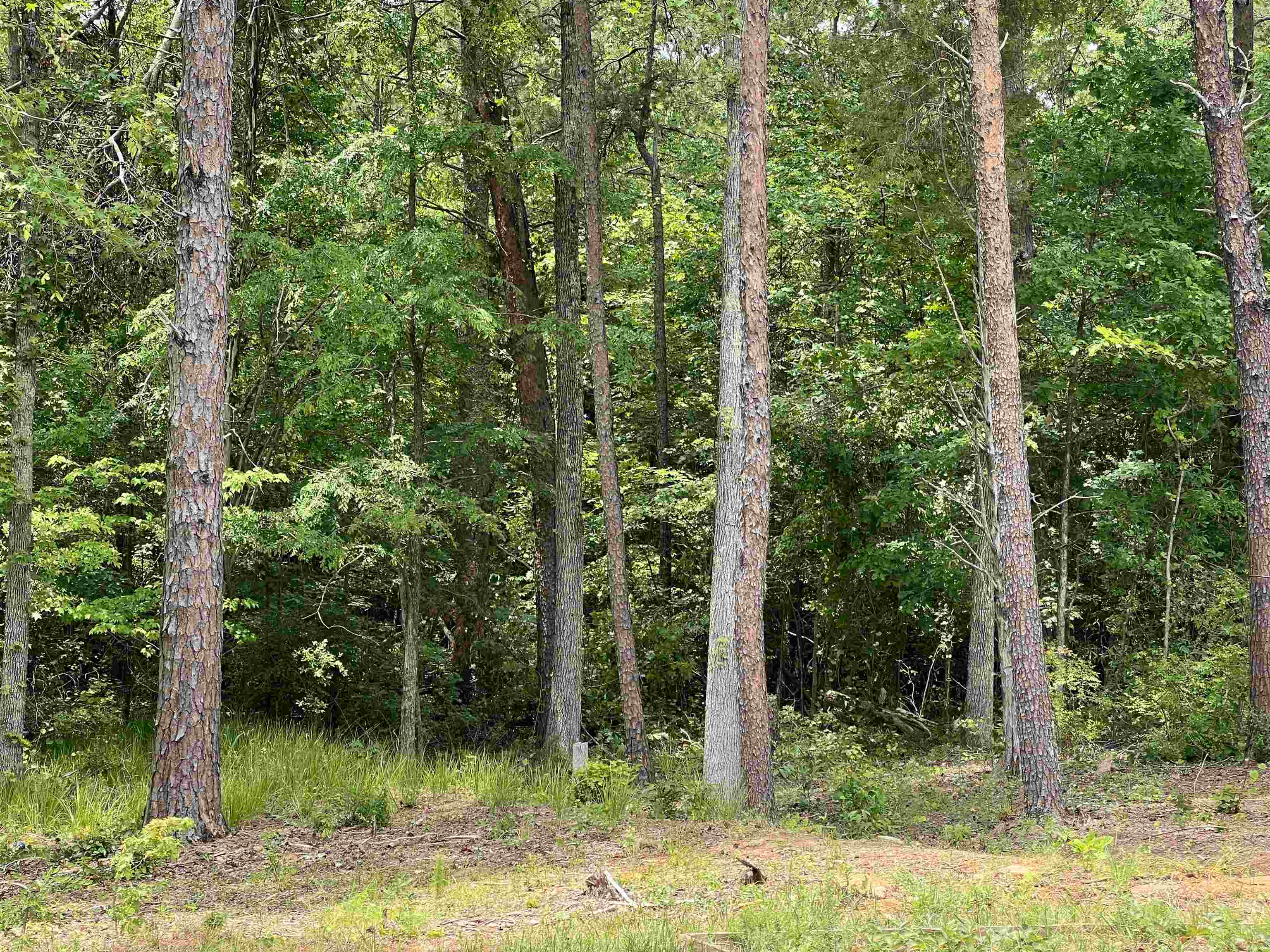 240 Mt Lebanon Road Pauline, SC 29374 - Photo 31 of 36 Gallery Image 31