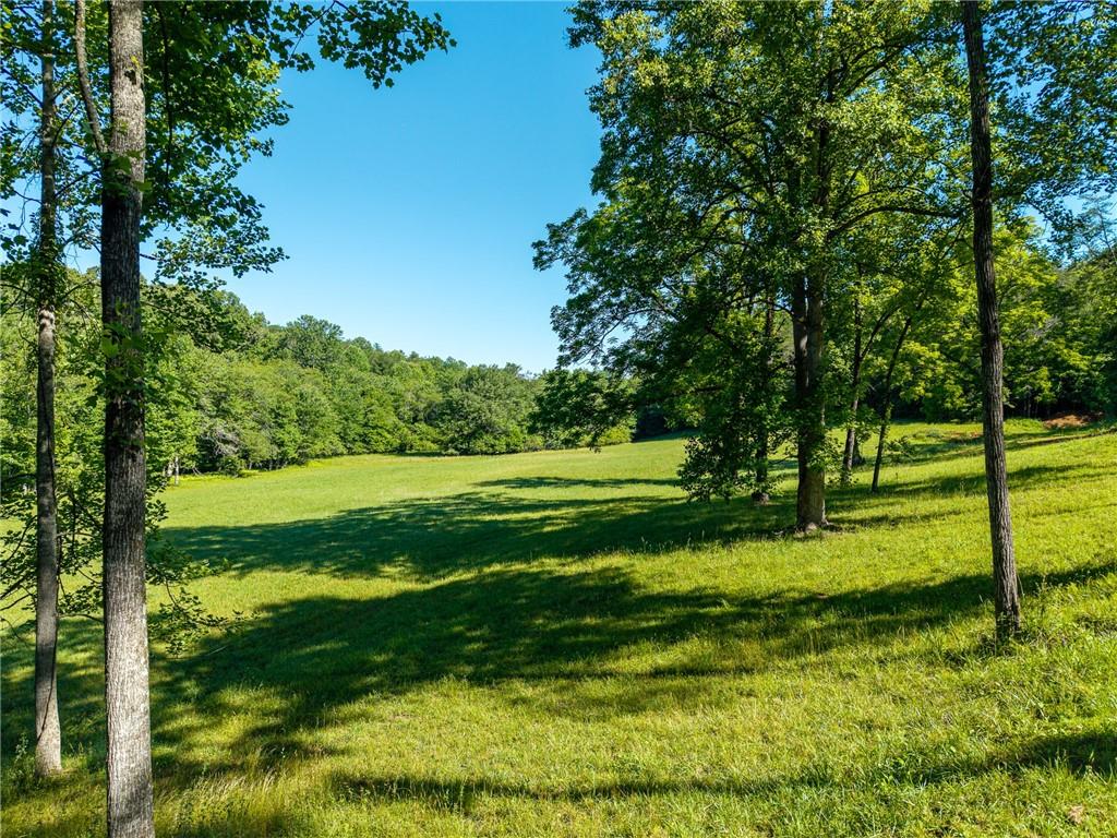 5664 Mobile Road Blue Ridge, GA 30513 - Photo 81 of 82