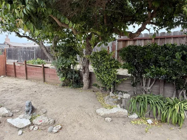 a backyard of a house with lots of green space