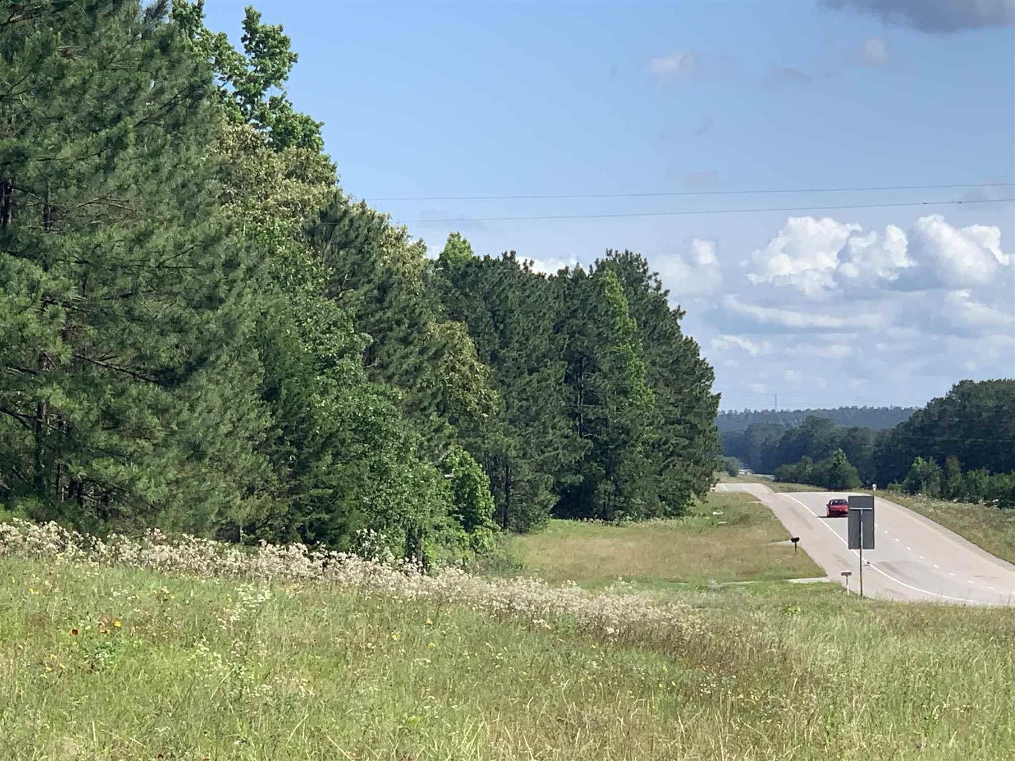 239 County Road 239 Jasper, TX 75951 - Photo 1 of 1