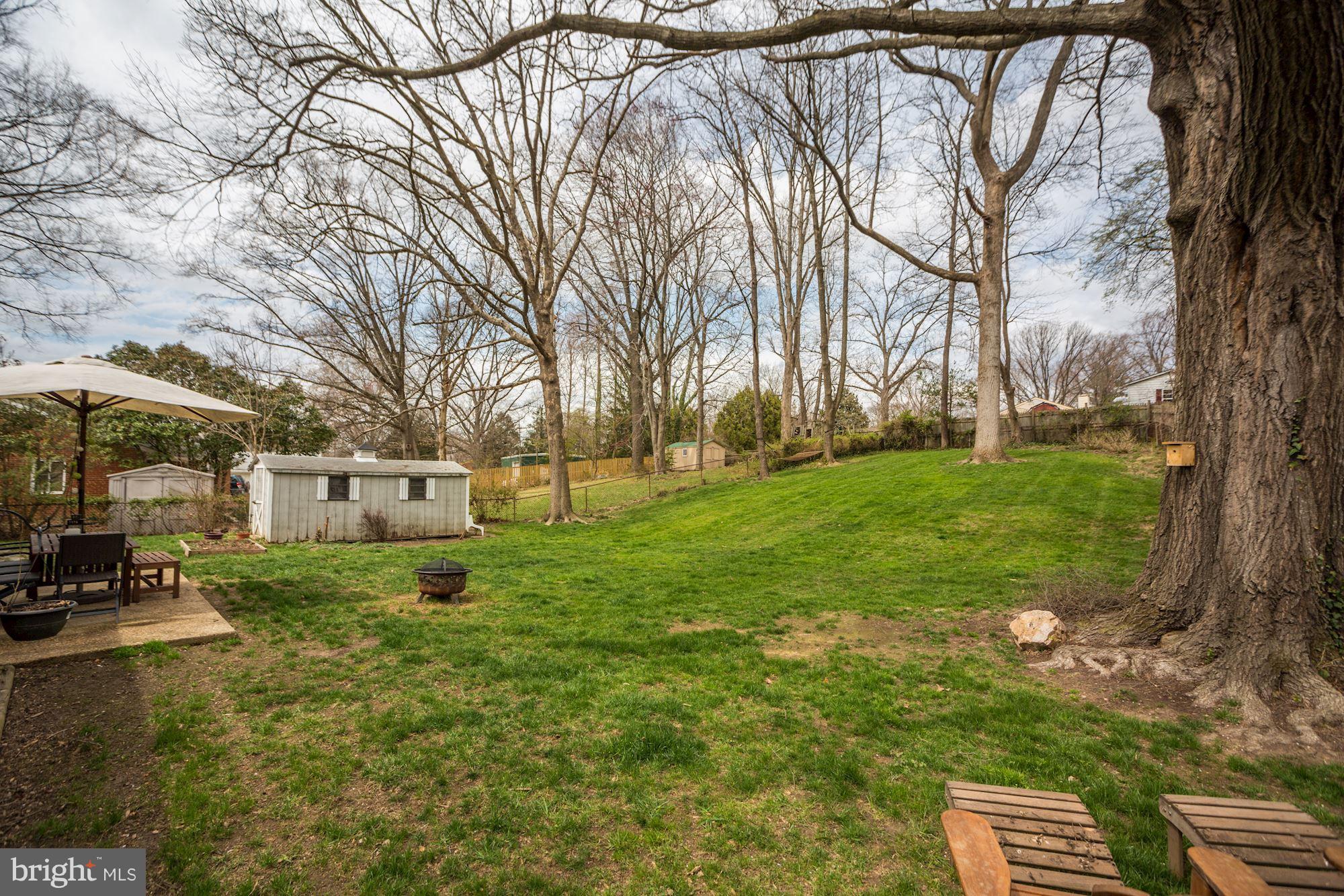 7414 Axton Street Springfield, VA 22151 - Photo 26 of 30 a backyard of a house with plants and large tree