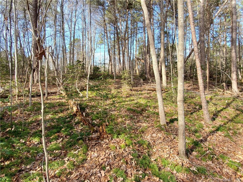8305 Monbo Road Catawba, NC 28609 - Photo 3 of 5 Gallery Image 3