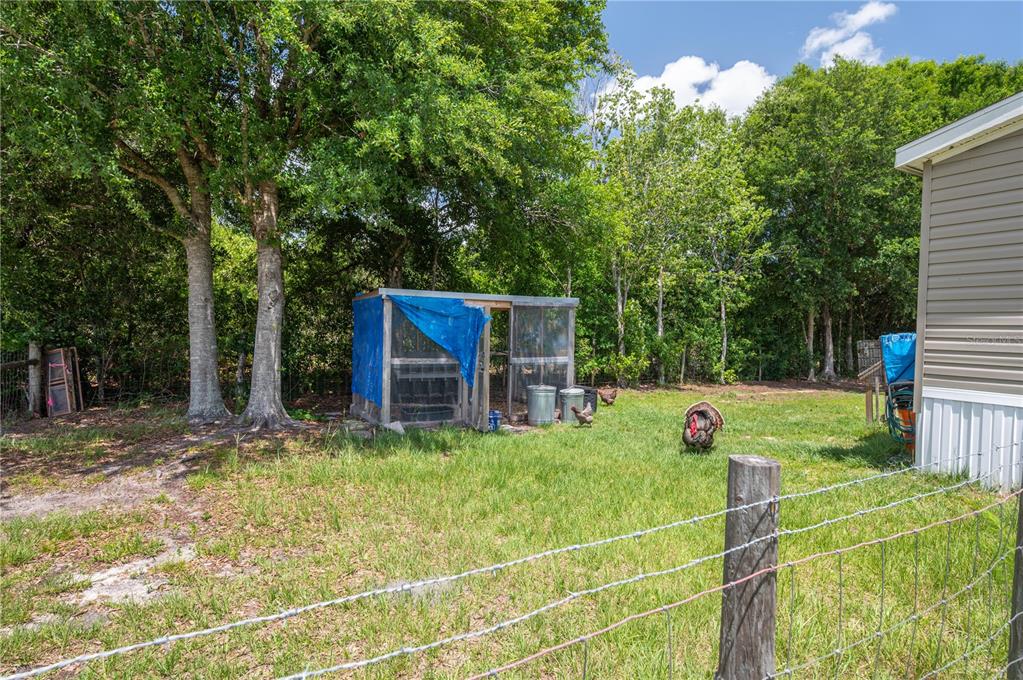15079 Brahma Road Polk City, FL 33868 - Photo 12 of 40 a view of a backyard with table and chairs and potted plants and large trees