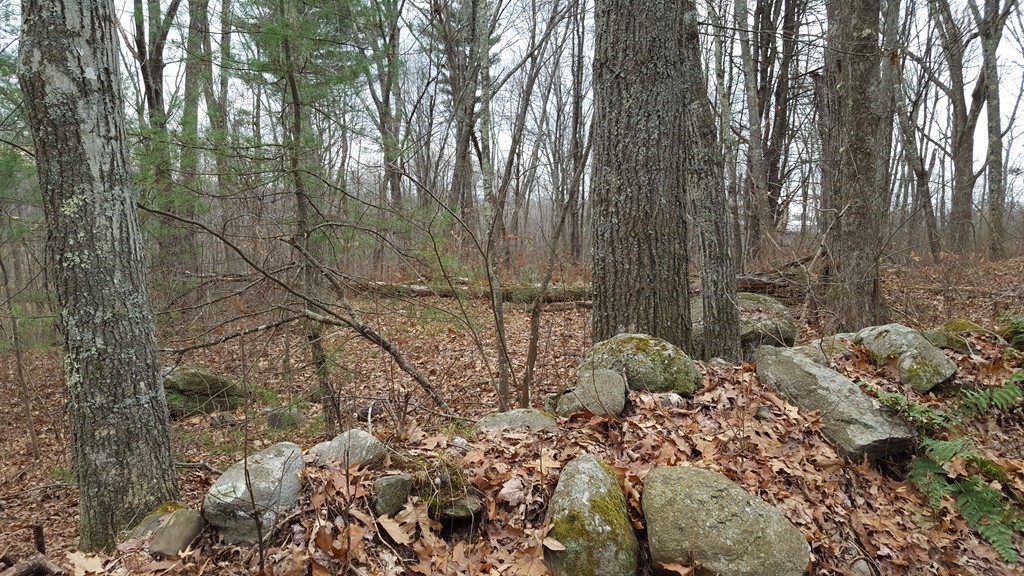 B & C Ruggles Hill Road Hardwick, MA 01037 - Photo 6 of 10 a backyard of a house with lots of green space