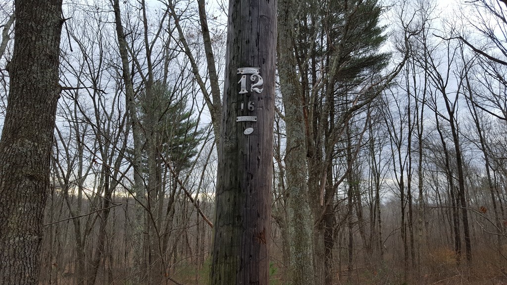 B & C Ruggles Hill Road Hardwick, MA 01037 - Photo 7 of 10