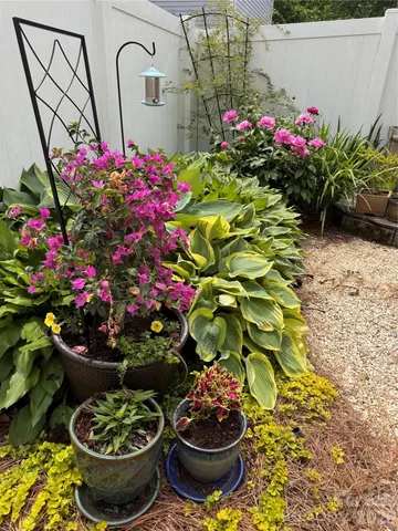 a bunch of flowers are in a garden