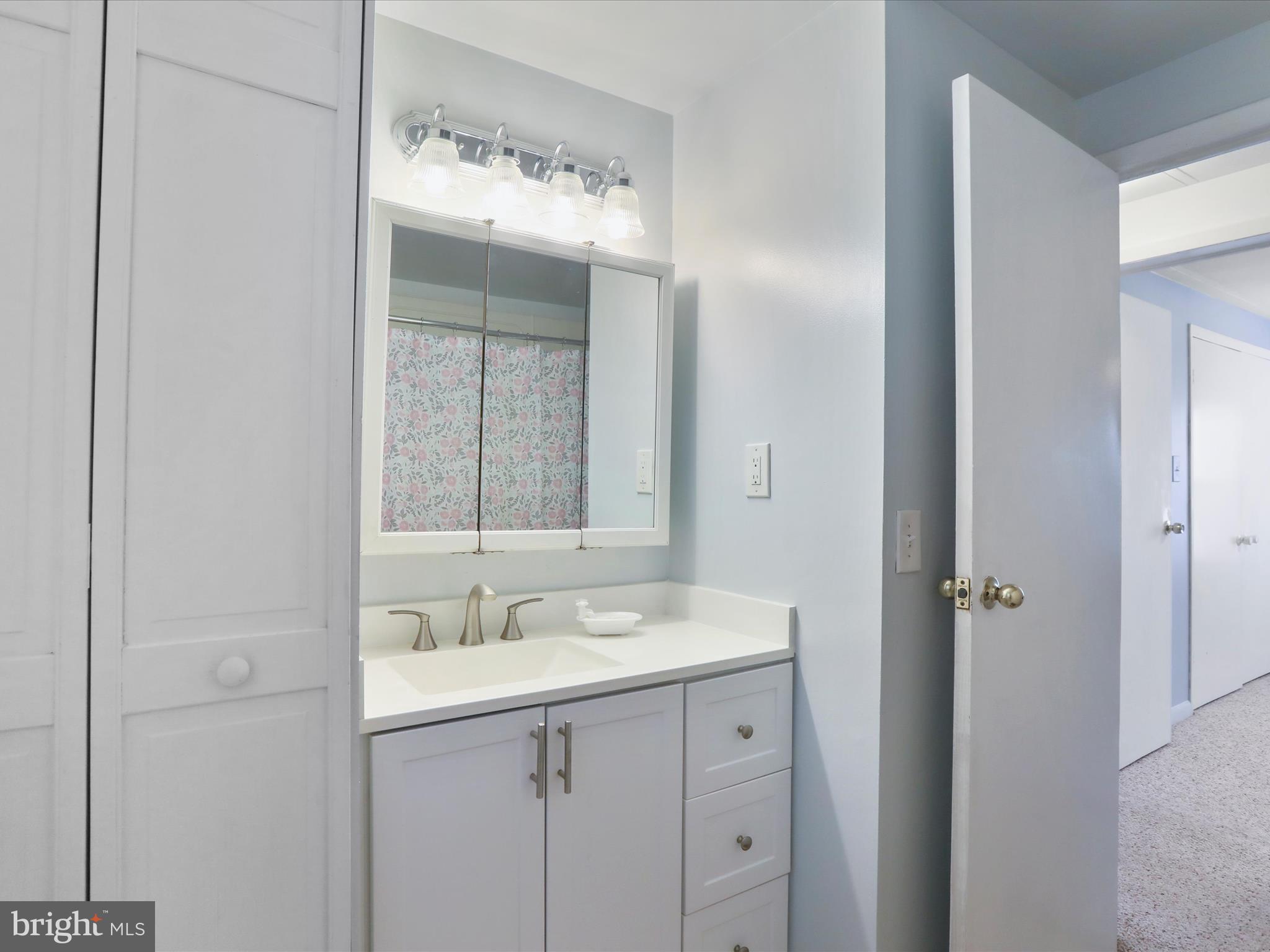 18540 Brooke Road Sandy Spring, MD 20860 - Photo 19 of 39 a bathroom with a sink and a mirror