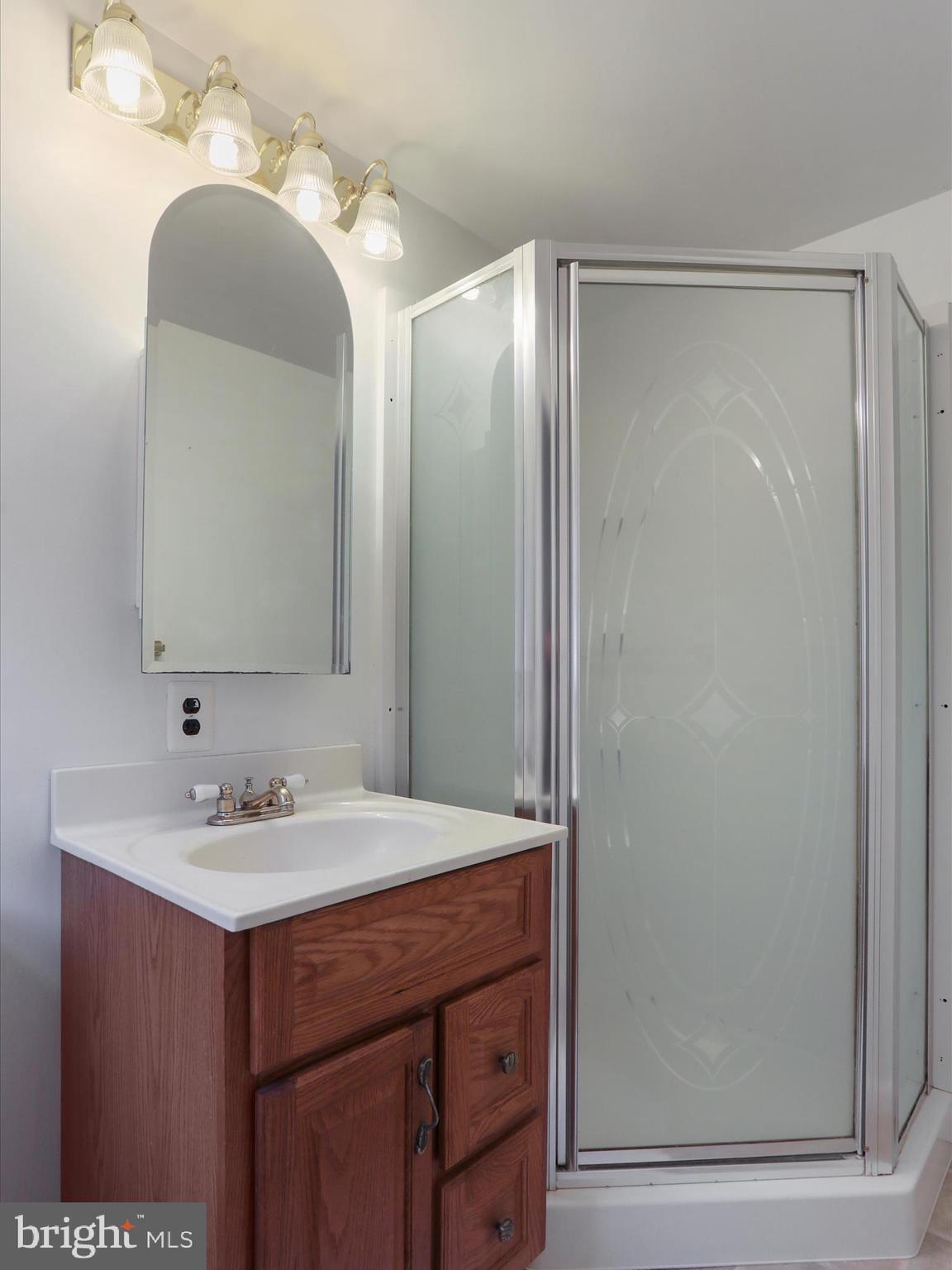18540 Brooke Road Sandy Spring, MD 20860 - Photo 25 of 39 a bathroom with a sink and a mirror