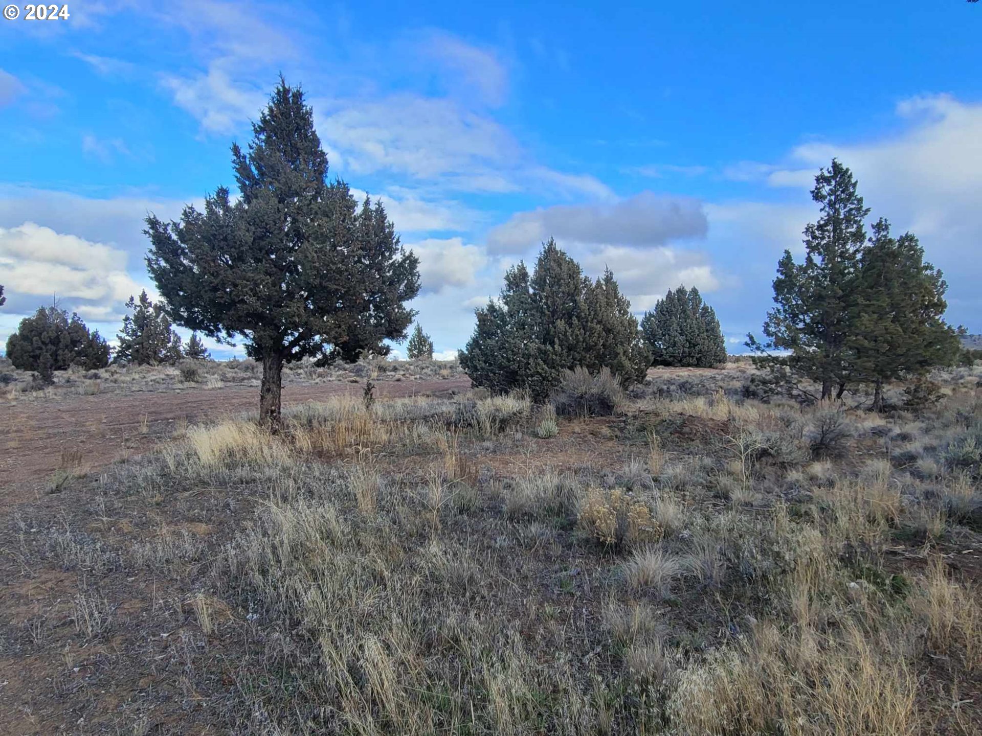 Cc Dunham Prineville, OR 97754 - Photo 4 of 10 a view of a dry yard with trees