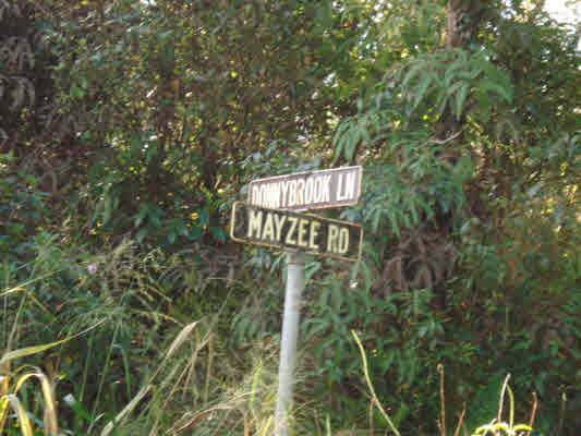1106 Mayzee Road Pahoa, HI 96778 - Photo 7 of 7 Gallery Image 7