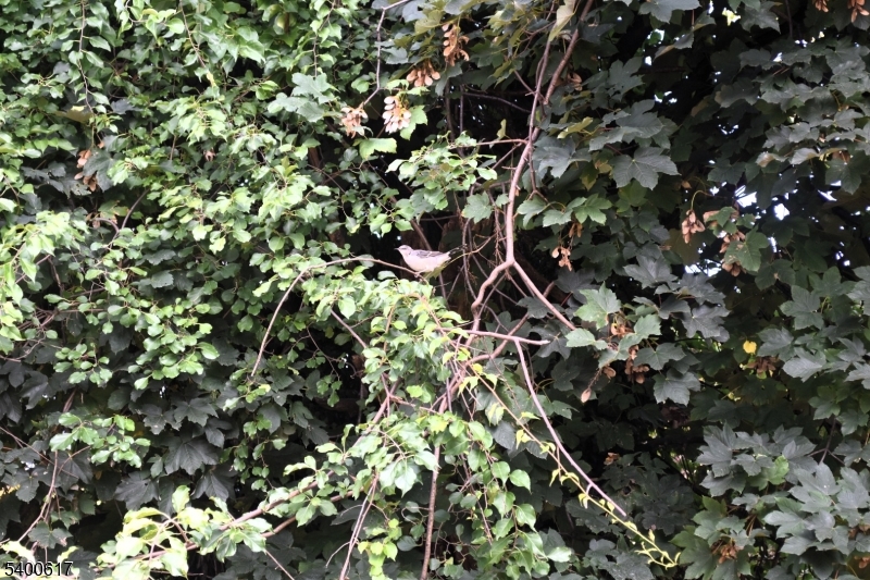 129 Central Place, Unit 2 Orange, NJ 07050 - Photo 23 of 28