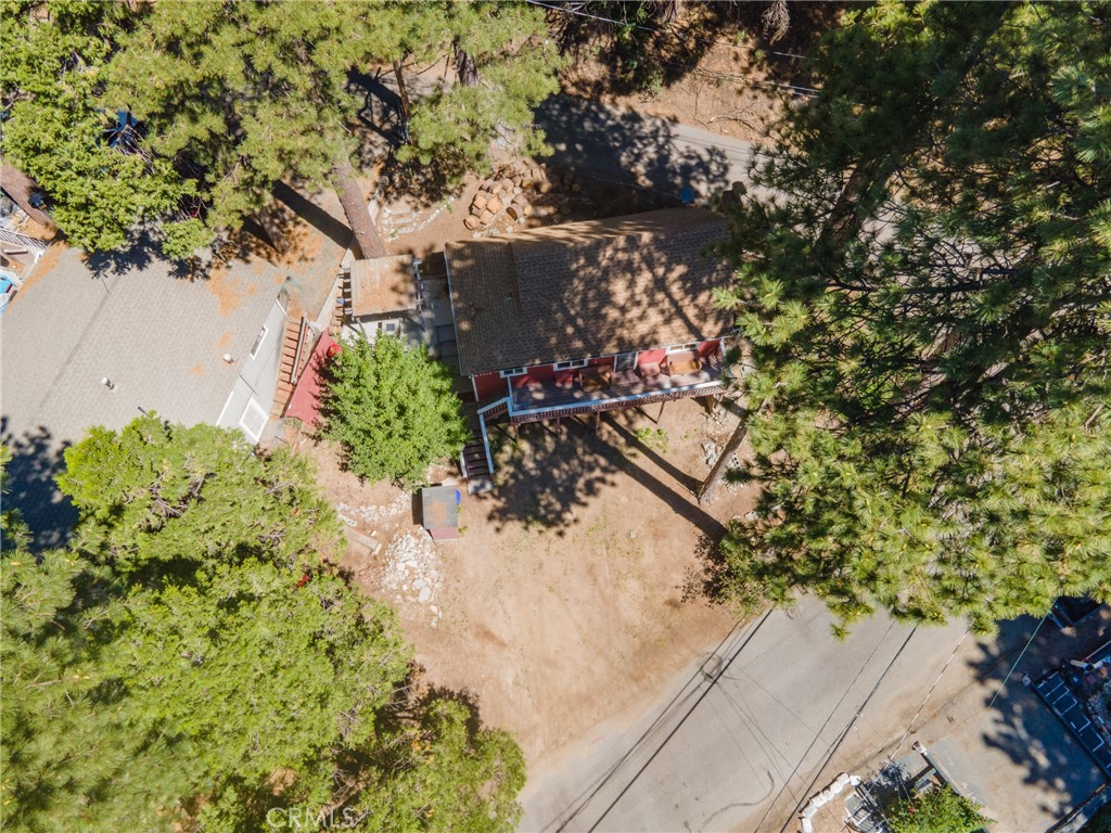 2548 Secret Drive Running Springs, CA 92382 - Photo 23 of 24 a view of a garden