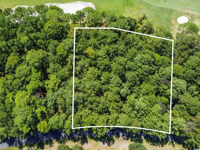 $699,000 | Lot 305 Wallace Pate Drive, Georgetown, SC 29440