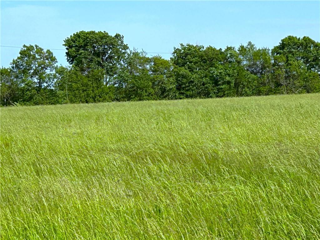 Xxx West Mill Street Butler, MO 64730 - Photo 6 of 18