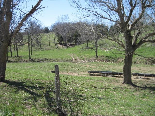 449 Needmore-Cordova Road Berry, KY 41003 - Photo 15 of 23 Gallery Image 15