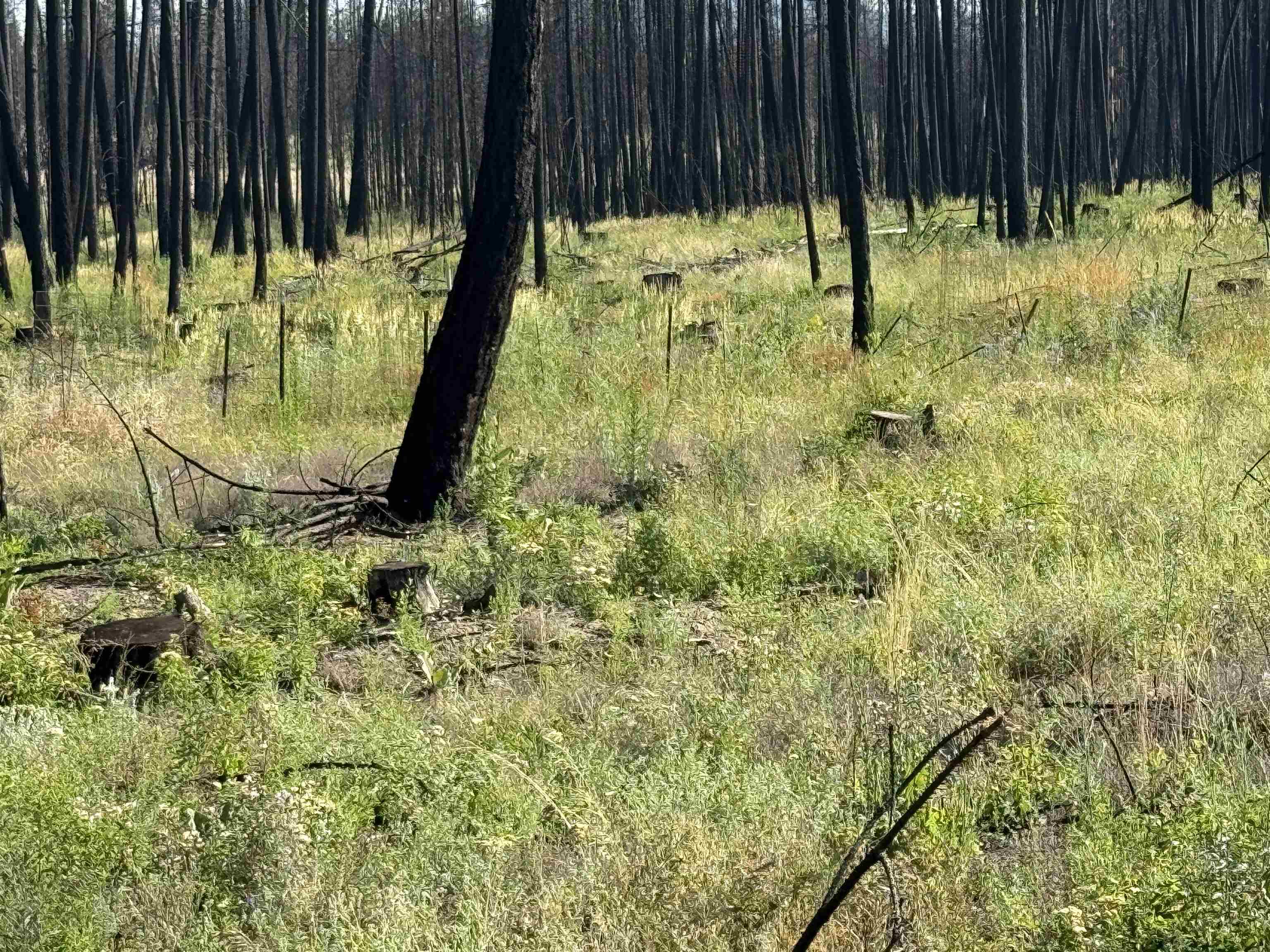 159-xx East Oregon Rd  