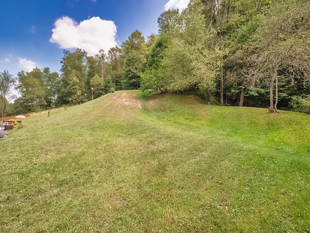 1928 Dime Road Vandergrift, PA 15690 - Photo 39 of 41 a view of a yard with a trees