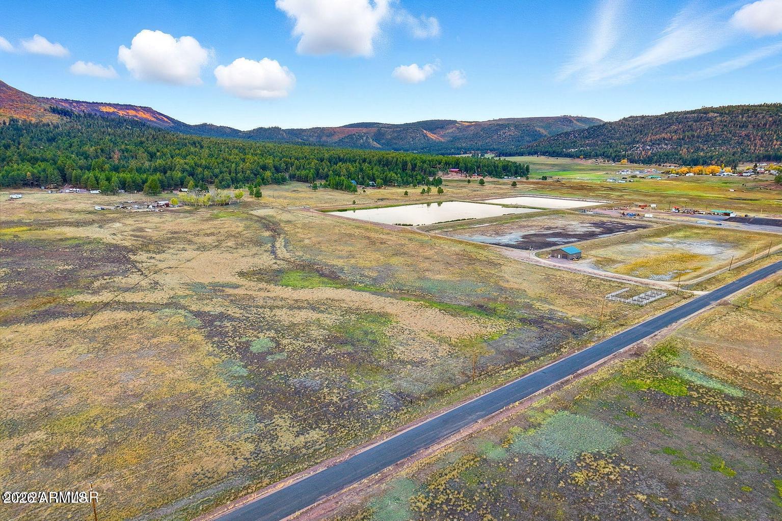 Tbd Tbd Alpine Unsubdivided Alpine, AZ 85920 - Photo 5 of 16